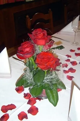 Fruehstueckspension Meyer, Familie Orthacker غراتس